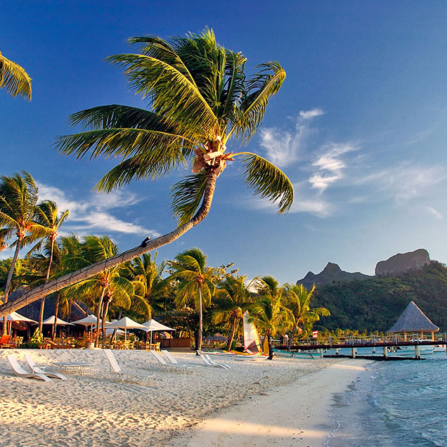 bora-bora-beach-scene-with-palm-trees-636×636