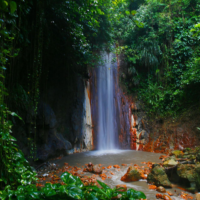 botanical-gardens-of-soufriere-in-saint-lucia-636×636