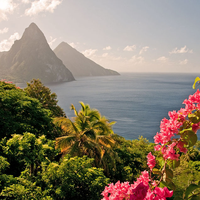 mountains-by-the-ocean-in-st-lucia-636×636