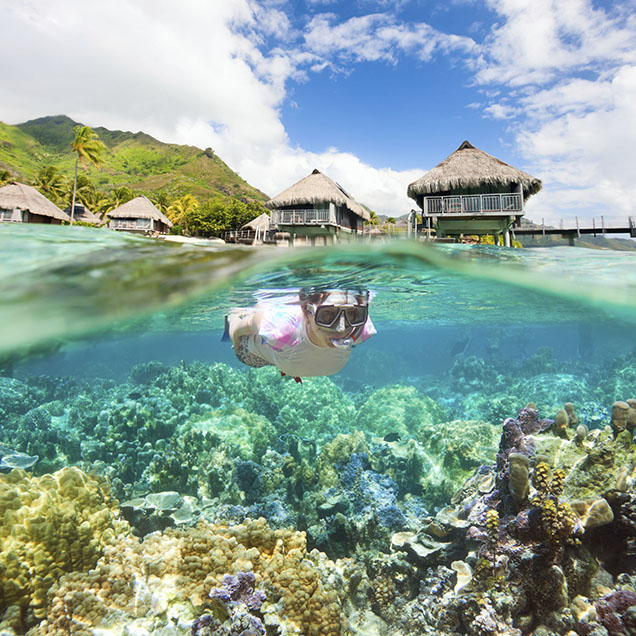 woman-snorkeling-at-coral-reef-in-bora-bora-636×636